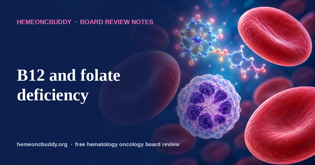 B12 and folate deficiency: Board Review | HemeOncBuddy