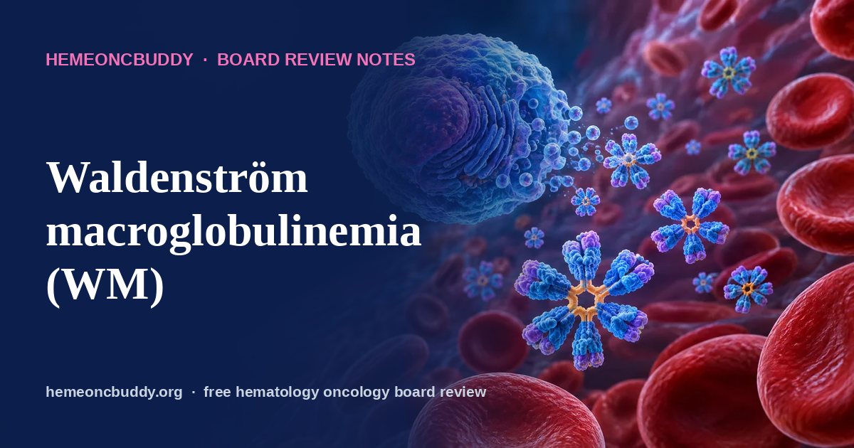 Waldenström macroglobulinemia (WM) | HemeOncBuddy